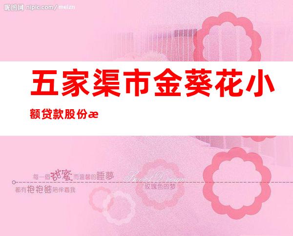 五家渠市金葵花小额贷款股份有限公司